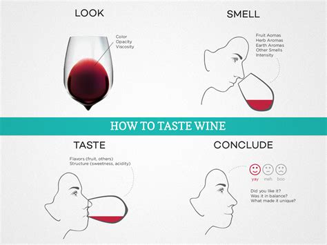 the bottle wine testing|wine palate identification.